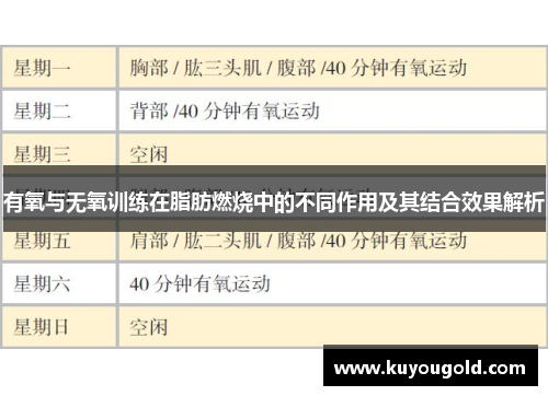 有氧与无氧训练在脂肪燃烧中的不同作用及其结合效果解析