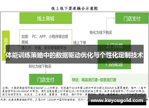 体能训练策略中的数据驱动优化与个性化定制技术